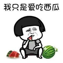 有什么瓜吃吗娱乐圈,揭秘热门八卦,畅享娱乐盛宴