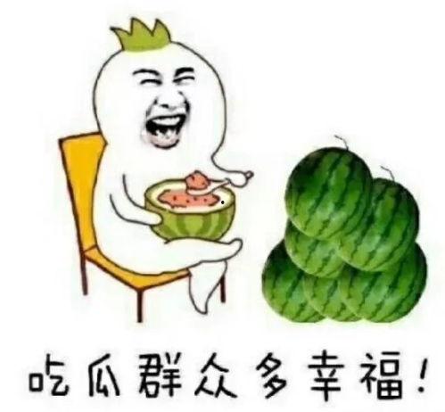 娱乐圈吃瓜动画片叫什么,揭秘“吃瓜”动画片的幕后故事