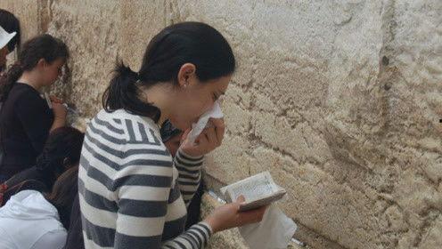 娱乐吃瓜君塘主